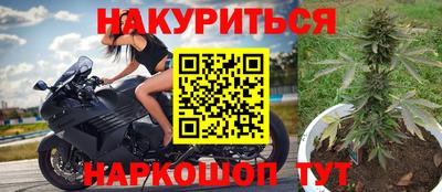 индика Ижевск