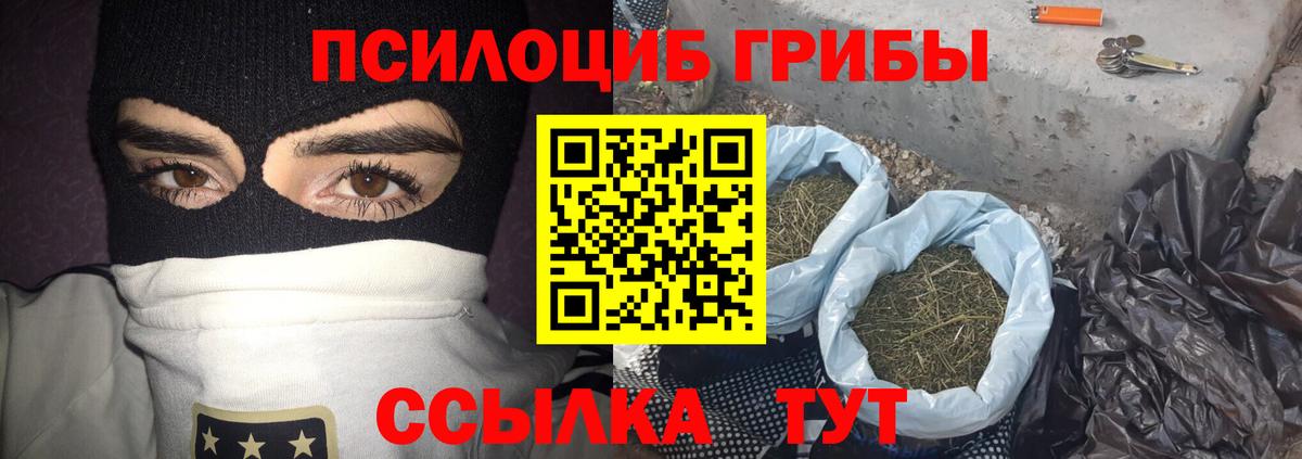 Псилоцибиновые грибы мицелий  Вход с VPN  Псилоцибиновые грибы Cubensis  Мытищи 